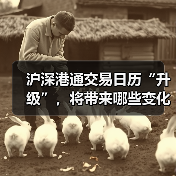 沪深港通交易日历“升级”,将带来哪些变化?(图4) 沪深港通交易日历“升级”,将带来哪些变化?(图4)