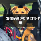 发挥金融逆周期调节作用(图2) 发挥金融逆周期调节作用(图2)
