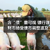 含“债”量可观 银行理财市场受债市调整波及(图2) 含“债”量可观 银行理财市场受债市调整波及(图2)