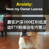 嘉实沪深300红利低波动ETF联接迎年内第三次分红(图3) 嘉实沪深300红利低波动ETF联接迎年内第三次分红(图3)