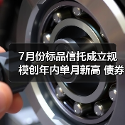 7月份标品信托成立规模创年内单月新高 债券投资类产品占比超九成(图1) 7月份标品信托成立规模创年内单月新高 债券投资类产品占比超九成(图1)