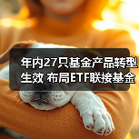 年内27只基金产品转型生效 布局ETF联接基金成主流(图4) 年内27只基金产品转型生效 布局ETF联接基金成主流(图4)
