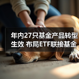 年内27只基金产品转型生效 布局ETF联接基金成主流(图2) 年内27只基金产品转型生效 布局ETF联接基金成主流(图2)