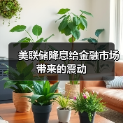 美联储降息给金融市场带来的震动（图1）
