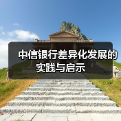 中信银行差异化发展的实践与启示（图2）