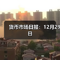 货币市场日报:12月29日(图2) 货币市场日报:12月29日(图2)
