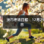 货币市场日报:12月29日(图4) 货币市场日报:12月29日(图4)