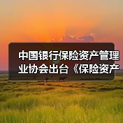 中国银行保险资产管理业协会出台《保险资产管理行业数据分类分级指南》(图2) 中国银行保险资产管理业协会出台《保险资产管理行业数据分类分级指南》(图2)