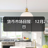 货币市场日报:12月29日(图1) 货币市场日报:12月29日(图1)