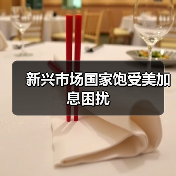 新兴市场国家饱受美加息困扰(图1) 新兴市场国家饱受美加息困扰(图1)