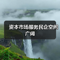 资本市场服务民企空间广阔(图1) 资本市场服务民企空间广阔(图1)