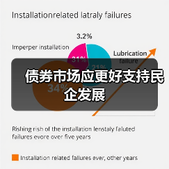 债券市场应更好支持民企发展(图3) 债券市场应更好支持民企发展(图3)