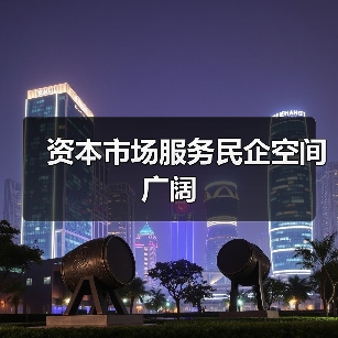 资本市场服务民企空间广阔(图2) 资本市场服务民企空间广阔(图2)