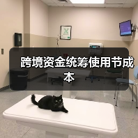 跨境资金统筹使用节成本(图4) 跨境资金统筹使用节成本(图4)