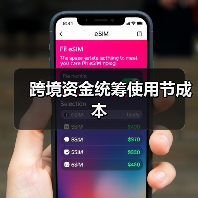 跨境资金统筹使用节成本(图2) 跨境资金统筹使用节成本(图2)