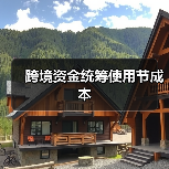 跨境资金统筹使用节成本(图1) 跨境资金统筹使用节成本(图1)