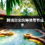 跨境资金统筹使用节成本(图3) 跨境资金统筹使用节成本(图3)