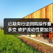近期央行逆回购操作量多变 维护流动性更加灵活精准(图3) 近期央行逆回购操作量多变 维护流动性更加灵活精准(图3)