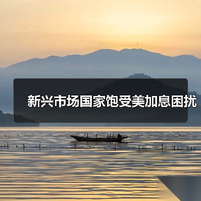 新兴市场国家饱受美加息困扰(图4) 新兴市场国家饱受美加息困扰(图4)
