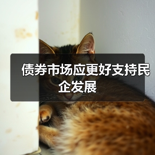 债券市场应更好支持民企发展(图1) 债券市场应更好支持民企发展(图1)