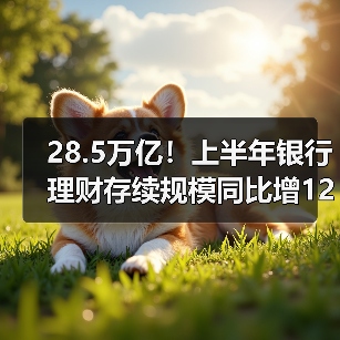 28.5万亿!上半年银行理财存续规模同比增12.55%(图2) 28.5万亿!上半年银行理财存续规模同比增12.55%(图2)