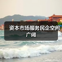 资本市场服务民企空间广阔(图3) 资本市场服务民企空间广阔(图3)