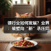 银行业如何发展?业界:破壁向“新”承压同时显韧性(图3) 银行业如何发展?业界:破壁向“新”承压同时显韧性(图3)