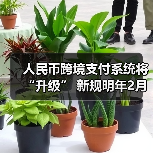 人民币跨境支付系统将“升级” 新规明年2月份正式施行(图4) 人民币跨境支付系统将“升级” 新规明年2月份正式施行(图4)