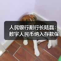 人民银行副行长陆磊:数字人民币纳入存款保险范畴,与存款享有同等安全保障(图1) 人民银行副行长陆磊:数字人民币纳入存款保险范畴,与存款享有同等安全保障(图1)