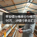 平安银行南京分行被罚90万，涉银行承兑汇票业务违规（图4）