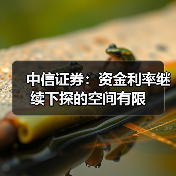 中信证券:资金利率继续下探的空间有限(图3) 中信证券:资金利率继续下探的空间有限(图3)