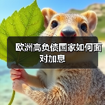 欧洲高负债国家如何面对加息(图4) 欧洲高负债国家如何面对加息(图4)