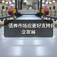 债券市场应更好支持民企发展(图3) 债券市场应更好支持民企发展(图3)