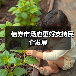 债券市场应更好支持民企发展(图4) 债券市场应更好支持民企发展(图4)