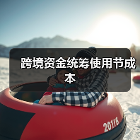 跨境资金统筹使用节成本(图4) 跨境资金统筹使用节成本(图4)