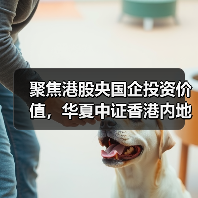 聚焦港股央国企投资价值,华夏中证香港内地国有企业ETF联接基金即将发行(图3) 聚焦港股央国企投资价值,华夏中证香港内地国有企业ETF联接基金即将发行(图3)