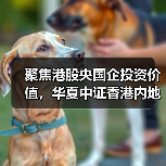 聚焦港股央国企投资价值,华夏中证香港内地国有企业ETF联接基金即将发行(图4) 聚焦港股央国企投资价值,华夏中证香港内地国有企业ETF联接基金即将发行(图4)