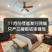 11月份债基发行回暖 多只产品提前结束募集(图3) 11月份债基发行回暖 多只产品提前结束募集(图3)