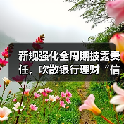 新规强化全周期披露责任,吹散银行理财“信息迷雾”(图4) 新规强化全周期披露责任,吹散银行理财“信息迷雾”(图4)