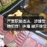 严重职务违法、涉嫌受贿犯罪！许海 被开除党籍！（图2）