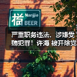严重职务违法、涉嫌受贿犯罪！许海 被开除党籍！（图4）