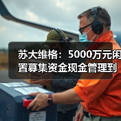 苏大维格:5000万元闲置募集资金现金管理到期赎回,获收益72.75万元(图4) 苏大维格:5000万元闲置募集资金现金管理到期赎回,获收益72.75万元(图4)