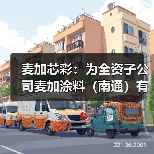 麦加芯彩：为全资子公司麦加涂料（南通）有限公司提供1.92亿元担保（图2）