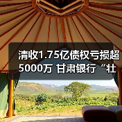 清收1.75亿债权亏损超5000万 甘肃银行“壮士断腕”向关联方折价转让资产（图4）