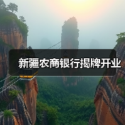 新疆农商银行揭牌开业（图4）