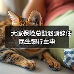 大家保险总助赵鹏辞任民生银行董事(图3) 大家保险总助赵鹏辞任民生银行董事(图3)