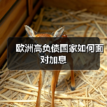 欧洲高负债国家如何面对加息(图1) 欧洲高负债国家如何面对加息(图1)
