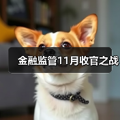金融监管11月收官之战(图1) 金融监管11月收官之战(图1)