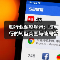 银行业深度观察:城商行的转型突围与破局智慧(图2) 银行业深度观察:城商行的转型突围与破局智慧(图2)