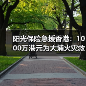 阳光保险急援香港:1000万港元为大埔火灾救援注入力量(图3) 阳光保险急援香港:1000万港元为大埔火灾救援注入力量(图3)